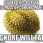 Durian | SHARE THIS DURIAN TO PASS UPCOMING PAPER; IGNORE WILL FAIL | image tagged in durian | made w/ Imgflip meme maker