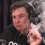Elon Musk Weed 2