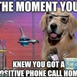 Science Dog | THE MOMENT YOU; KNEW YOU GOT A POSITIVE PHONE CALL HOME | image tagged in science dog | made w/ Imgflip meme maker
