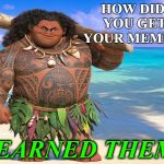 Maui | HOW DID YOU GET YOUR MEMES? I EARNED THEM! | image tagged in maui | made w/ Imgflip meme maker