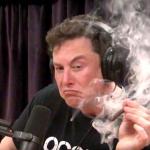 Elon Musk Hits Blunt 2 meme