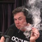 Elon Musk Smoking Weed