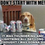 dog beer | DON'T START WITH ME! IT WAS THUNDERING AND LIGHTNING ALL DAY LONG. I THOUGHT I WAS GONNA DIE. | image tagged in dog beer | made w/ Imgflip meme maker