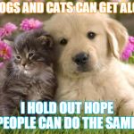 Can't we all just get along? | IF DOGS AND CATS CAN GET ALONG; I HOLD OUT HOPE PEOPLE CAN DO THE SAME! | image tagged in puppies and kittens,people are people | made w/ Imgflip meme maker