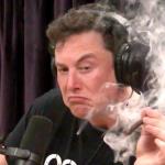 Elon musk blunt weed
