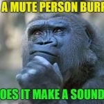 Question of the day | IF A MUTE PERSON BURPS; DOES IT MAKE A SOUND? | image tagged in that is the question,memes,funny,burp | made w/ Imgflip meme maker