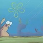 spongebob waving fish