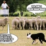 Sheep Effect | YES, SIR!  I MEAN BAAA  BAAA! THAT'S IT.  MAKE THEM THINK WE'RE STUPID.  WHEN THE TIME IS RIGHT, WE STRIKE. | image tagged in sheep effect | made w/ Imgflip meme maker
