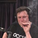 Elon Musk drugs