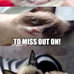 I want to encourage people to participate in One_Girl_Band's Fake Out Week - there's a couple of days left. | FAKE OUT WEEK? SOUNDS LIKE A TERRIBLE THING; TO MISS OUT ON! | image tagged in bad pun grumpy cat,memes,fake out,fake out week,imgflip,grumpy cat | made w/ Imgflip meme maker