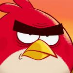 Red Bird Annoyed