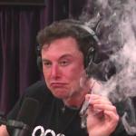 Elon Musk hits blunt