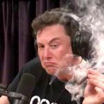 Elon Smoking Weedo
