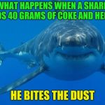 Straight White Shark | WHAT HAPPENS WHEN A SHARK FINDS 40 GRAMS OF COKE AND HEROIN HE BITES THE DUST | image tagged in straight white shark | made w/ Imgflip meme maker