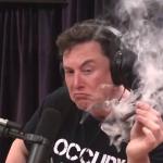 Elon Musk smokes a joint and looks at it