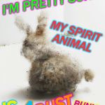 Just judging by my house.  | I'M PRETTY SURE; MY SPIRIT ANIMAL; BUNNY. DUST; A; IS | image tagged in dust bunny,memes,nixieknox | made w/ Imgflip meme maker