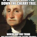 George Washington | OF COURSE I CHOPPED DOWN THE CHERRY TREE. WHERE DO YOU THINK MY WOODEN TEETH CAME FROM? | image tagged in george washington | made w/ Imgflip meme maker
