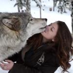 Licky wolfy