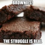 brownie | BROWNIES! THE STRUGGLE IS REAL | image tagged in brownie | made w/ Imgflip meme maker
