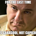 Soprano Gabagool | FOR THE LAST TIME; IT'S GABAGOOL, NOT CAPICOLA | image tagged in soprano gabagool | made w/ Imgflip meme maker
