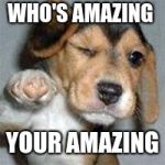 Who is Awesome? Spiceworks is awesome... | WHO'S AMAZING; YOUR AMAZING | image tagged in who is awesome spiceworks is awesome | made w/ Imgflip meme maker