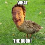 The Data Ducky | WHAT; THE DUCK! | image tagged in the data ducky | made w/ Imgflip meme maker