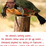 Gove Posted