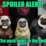 Game of Thrones meets Pug Life | SPOILER ALERT! The pack rules in the end! | image tagged in game of thrones pug,spoiler alert,final episode,winners,funny memes,drsarcasm | made w/ Imgflip meme maker