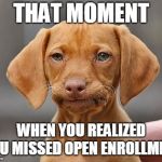 Disappointed Puppy | THAT MOMENT; WHEN YOU REALIZED YOU MISSED OPEN ENROLLMENT | image tagged in disappointed puppy | made w/ Imgflip meme maker