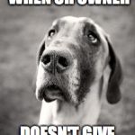 Sad Great Dane | DAT FACE WHEN UR OWNER; DOESN'T GIVE U LEFTOVER MEAT | image tagged in sad great dane | made w/ Imgflip meme maker