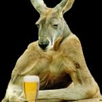 kangroo-beer