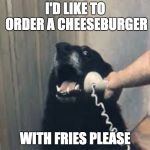 Hello yes this is dog | I'D LIKE TO ORDER A CHEESEBURGER; WITH FRIES PLEASE | image tagged in hello yes this is dog | made w/ Imgflip meme maker