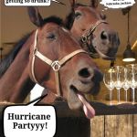 I Declare September: Hurricane Month
Any Excuse For A Party! | Why are you getting so drunk? We're in Nebraska, jackass. Hurricane Partyyy! | image tagged in drunken horse,jefthehobo,i bring the funny,hurricane florence,hurricane flow | made w/ Imgflip meme maker
