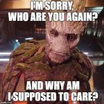 Groot Guardians of the Galaxy | I'M SORRY, WHO ARE YOU AGAIN? AND WHY AM I SUPPOSED TO CARE? | image tagged in groot guardians of the galaxy | made w/ Imgflip meme maker