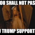 You Shall Not Pass | YOU SHALL NOT PASS; YOU TRUMP SUPPORTERS | image tagged in you shall not pass | made w/ Imgflip meme maker