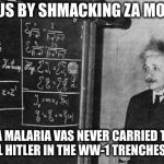 Butterfly effect? The mosquito effect! | AND THUS BY SHMACKING ZA MOSQUITO; ZA MALARIA VAS NEVER CARRIED TO CORPORAL HITLER IN THE WW-1 TRENCHES AT YPRES | image tagged in einstein,hitler,malaria,mosquitoes,memes | made w/ Imgflip meme maker