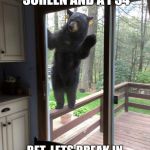 Bear At The Door | I SEE A FLAT SCREEN AND A PS4; BET, LETS BREAK IN THRU BATHROOM WINDOW | image tagged in bear at the door | made w/ Imgflip meme maker