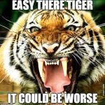 Tiger leash | EASY THERE TIGER; IT COULD BE WORSE | image tagged in tiger leash | made w/ Imgflip meme maker