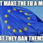 Europeans Fighting Back | JUST MAKE THE EU A MEME; SO THAT THEY BAN THEMSELVES | image tagged in the european union | made w/ Imgflip meme maker