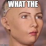 A1 | WHAT THE | image tagged in a1 | made w/ Imgflip meme maker