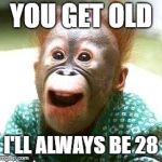 Happy Monkey Happy Birthday | YOU GET OLD; I'LL ALWAYS BE 28 | image tagged in happy monkey happy birthday | made w/ Imgflip meme maker