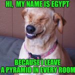 Laughing Dog | HI,  MY NAME IS EGYPT; BECAUSE I LEAVE A PYRAMID IN EVERY ROOM | image tagged in laughing dog,memes | made w/ Imgflip meme maker