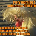 PERKATORY is a REAL symptom  | Every morning I suffer from PERKATORY... the anguished, prolonged period spent waiting for a fresh pot of coffee to be ready | image tagged in crazy chicken,coffee,perkatory,i need coffee | made w/ Imgflip meme maker
