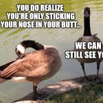 Gary Goose attempts to avoid social contact. Greg sets him straight. | YOU DO REALIZE YOU'RE ONLY STICKING YOUR NOSE IN YOUR BUTT... WE CAN STILL SEE YOU. | image tagged in two geese,introvert | made w/ Imgflip meme maker
