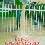 Liberals dealing with flooding | HOW A LIBERAL GETS RID OF FLOOD WATER | image tagged in liberals dealing with flooding | made w/ Imgflip meme maker