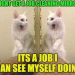After much reflection... | I MIGHT GET A JOB CLEANING MIRRORS; ITS A JOB I CAN SEE MYSELF DOING | image tagged in mirror test,memes,funny | made w/ Imgflip meme maker