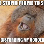 Orang-Utan | TELL THE STUPID PEOPLE TO SHUT UP! THEY ARE DISTURBING MY CONCENTRATION. | image tagged in orang-utan | made w/ Imgflip meme maker