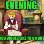 The Cat Recherns | EVENING. I HEARD YOU WOULD LIKE TO GO OUT FOR TEA. | image tagged in the cat recherns | made w/ Imgflip meme maker