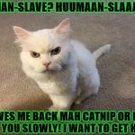 MAH CATNIP | HUMAN-SLAVE? HUUMAAN-SLAAAVE? GIVES ME BACK MAH CATNIP OR I'LL KILL YOU SLOWLY! I WANT TO GET HIGH! | image tagged in mah catnip | made w/ Imgflip meme maker