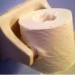 Wrong Way Toilet Paper